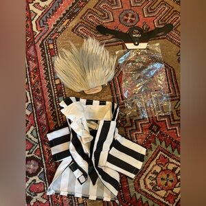 Beetlejuice Dog Costume